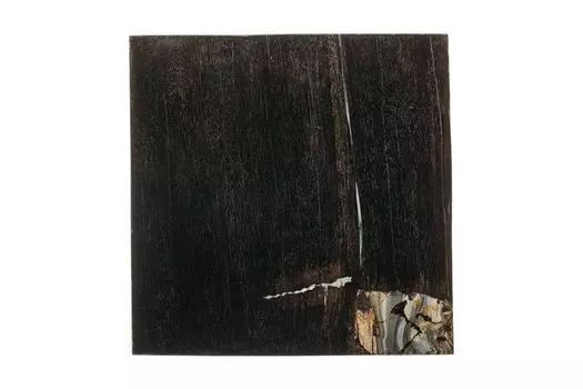 Журнальный стол таланго из окаменелого дерева 21