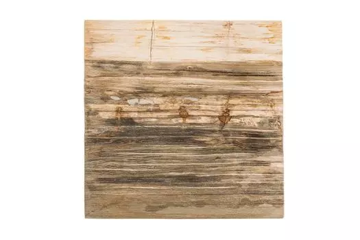 Журнальный стол таланго из окаменелого дерева 16