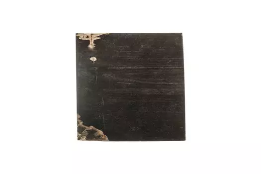 Журнальный стол таланго из окаменелого дерева 25