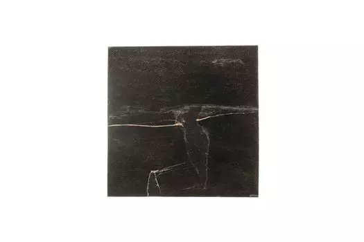 Журнальный стол таланго из окаменелого дерева 29