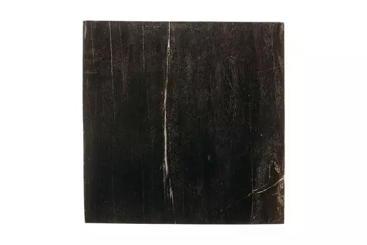 Журнальный стол таланго из окаменелого дерева 22