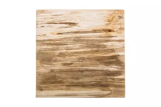 Журнальный стол таланго из окаменелого дерева 19