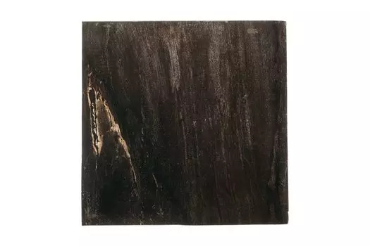 Журнальный стол таланго из окаменелого дерева 17