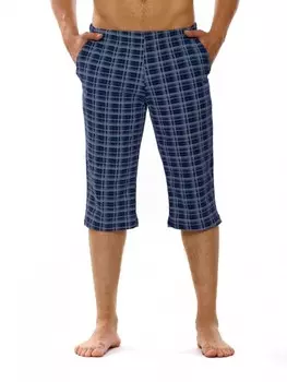 Бриджи мужские Гарри (клетка) рр