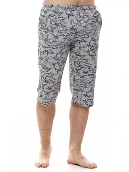 Бриджи мужские Гидеон (серые)