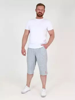 Бриджи мужские Маяк (серые)