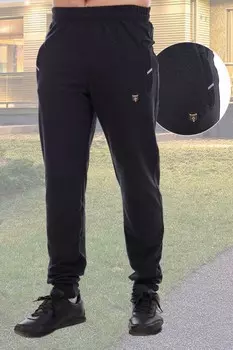 Брюки мужские Борис (серые)