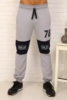 Брюки мужские Джейсон (серые)