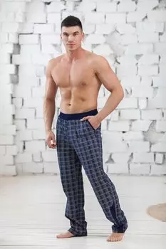 Брюки мужские Гордей (синие)