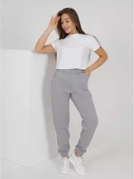 Брюки трикотажные Евпраксея (серые)