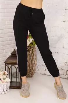 Брюки трикотажные Поллин (черные)