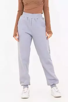 Брюки трикотажные Сити (светло-серые)