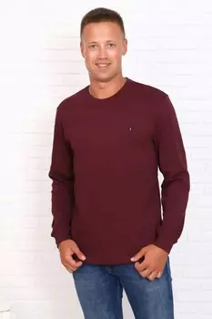 Джемпер мужской Дмитрий (бордовый)