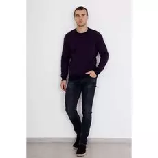 Джемпер мужской Максим