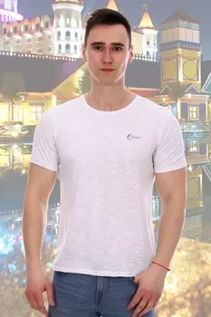 Футболка мужская Ария (белая) рр