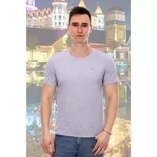 Футболка мужская Ария (серая)