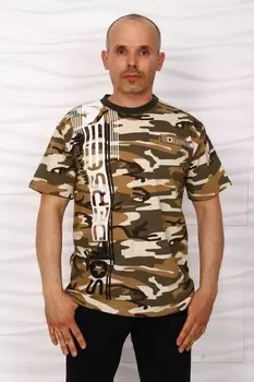 Футболка мужская Арнольд (песчаный) рр