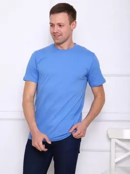Футболка мужская Бьерн (голубая) зк