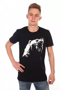 Футболка мужская Брендон рр