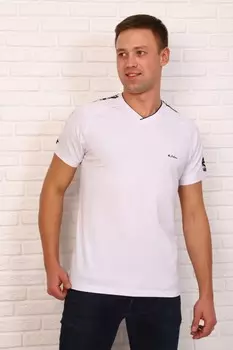 Футболка мужская Брин (белая)