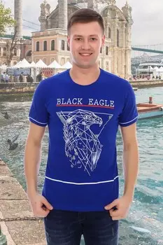 Футболка мужская Брист (васильковая)