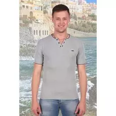 Футболка мужская Центр (серая)