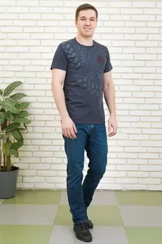 Футболка мужская Дакар (серо-синяя)