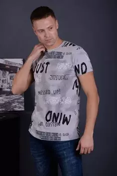 Футболка мужская Данил (серая) рр