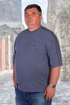 Футболка мужская Дэвид (индиго)