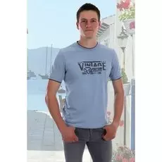 Футболка мужская Денис (голубая)