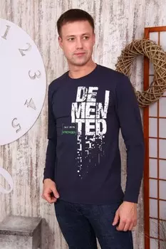 Футболка мужская Денис рр