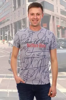 Футболка мужская Джошуа (серая)