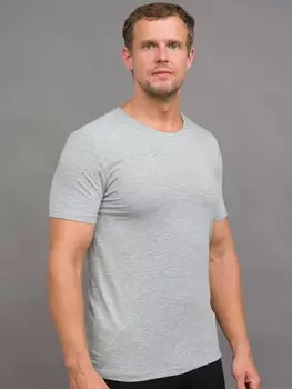 Футболка мужская Джозеф (серая)