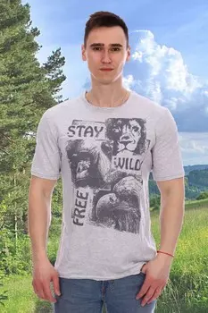 Футболка мужская Фримен (серая)