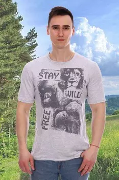 Футболка мужская Фримен (серая) рр