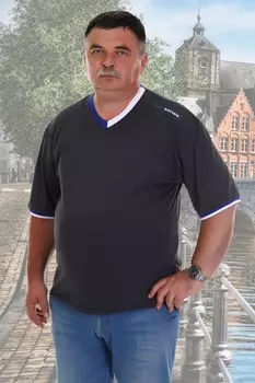 Футболка мужская Гарри (антрацит)