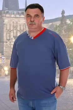 Футболка мужская Гарри (индиго)