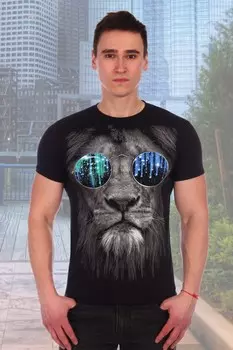 Футболка мужская Гладиатор