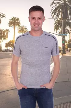 Футболка мужская Грег (серая) рр