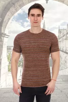 Футболка мужская Илья (коричневая)