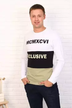 Футболка мужская Эксклюзив