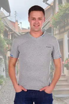 Футболка мужская Карл (серая) рр