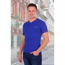 Футболка мужская Карл (синяя)