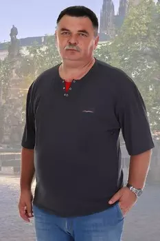 Футболка мужская Кевин (антрацит)