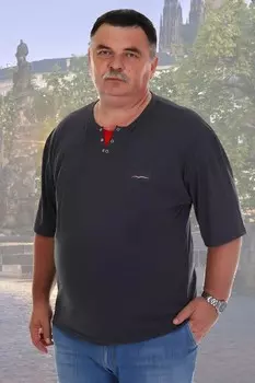 Футболка мужская Кевин (антрацит) рр