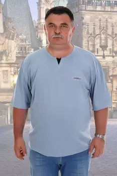 Футболка мужская Кевин (голубая)