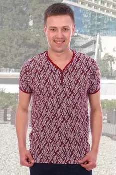 Футболка мужская Ланс (бордовая) рр