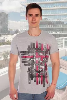 Футболка мужская Лев (серая)