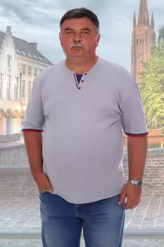 Футболка мужская Логан (серая)