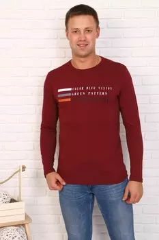 Футболка мужская Морган